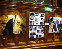 © Monte-Carlo Festivals © Monte-Carlo Festivals